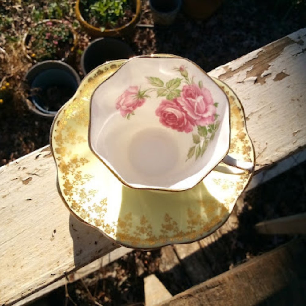 English bone china cup and saucer Rosina vintage excellent condition